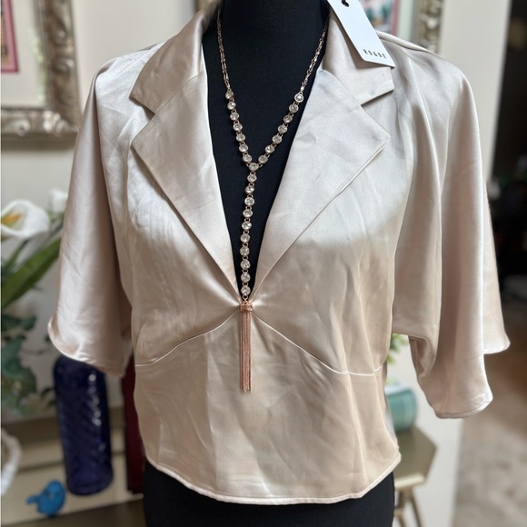 RO+DE TAUPE SATIN FORMAL FLUTTER DOLMAN SLEEVE COLLARED V-NECK CROP TOP SZ L - Picture 8 of 9